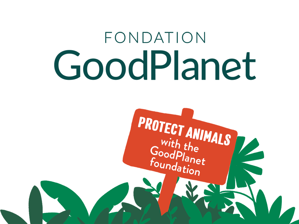 Let’s protect animals! It’s possible to enjoy food whilst saving wildlife! For each of our completely organic animals that is chewed or bitten into, Good Goût donates part of its profits to the Good Planet Foundation to support an elephant protection programme in Botswana.